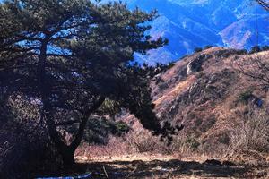 2.7 (周六）丨梯子山徒步，挑战济南最高山，小白毕业路线【青年线  拓路者赞助】