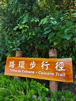 广州出发||【澳门徒步小众玩法】从黑沙龙爪角到十月初五马路，解锁彩色葡式风情休闲单日营