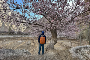 3月25日~4月4日徒个中国●新疆寻宝南疆，帕米尔高原踏雪寻花