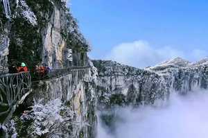 双核张家界：四天三晚 品质纯玩之旅 卡魅力长沙/逛网红夜市/武陵源国家森林公园 天门山国家森林公园/凤凰古城