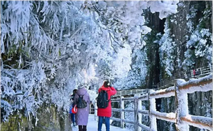 汽车团：郴州莽山邂逅冰雪雾凇、云海、东江湖、白廊游船、高椅岭、马皇丘大峡谷、瓦窑坪、裕后街三天