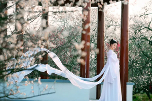 御景峰国家森林公园赏梅花,喝青梅酒品农家菜一日游