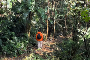 3月19日徒个中国·云南高黎贡山徒步活动