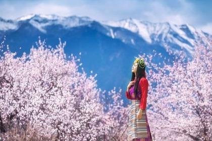 【林芝桃花】3月25-4月1日 雪域江南雅鲁藏布大峡谷南迦巴瓦赏桃花轻户外8日游