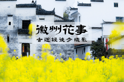 【徽州花事•无梦6连穿】3月15-20日 新安江徒步赏花徽州古道 人少景美的小众线6天