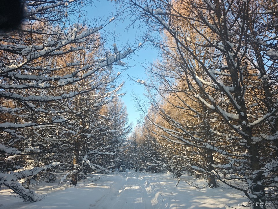 微信图片_20260121152650_44_5