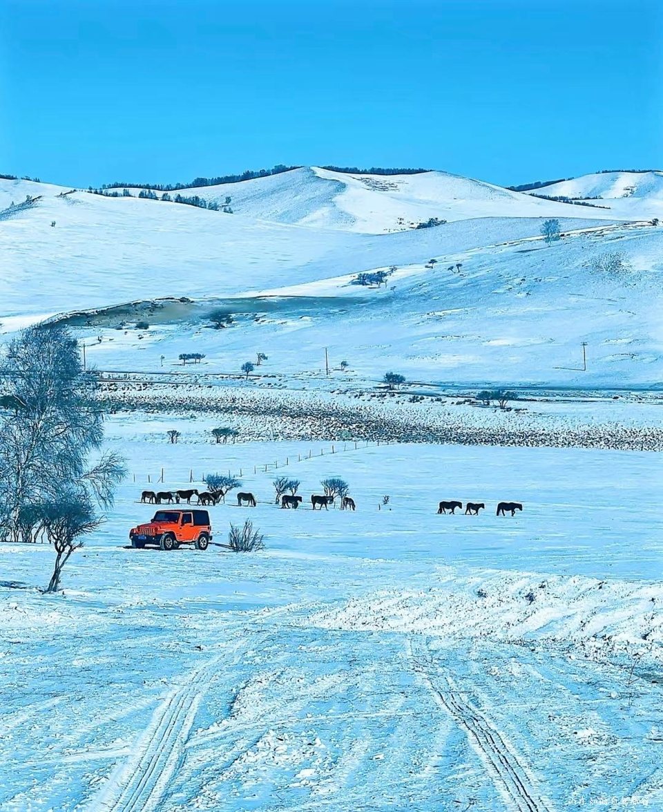 微信图片_20260121152653_47_5