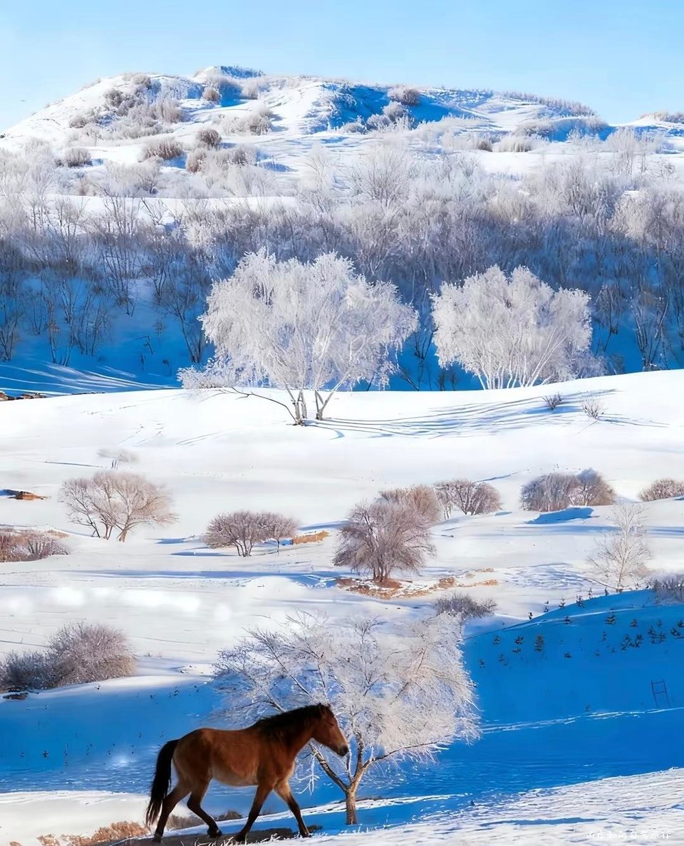 微信图片_20260121152653_48_5