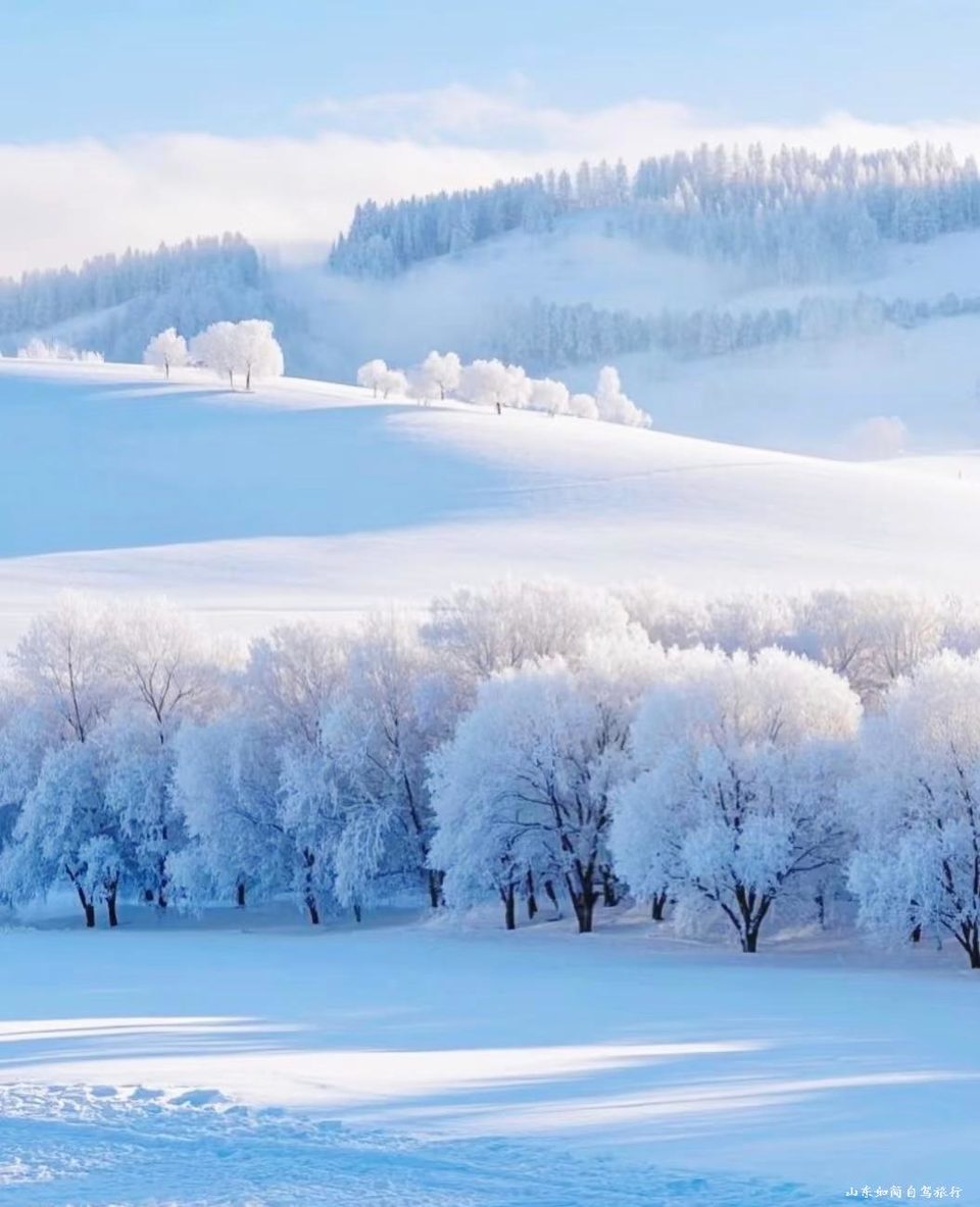 微信图片_20260121152654_49_5