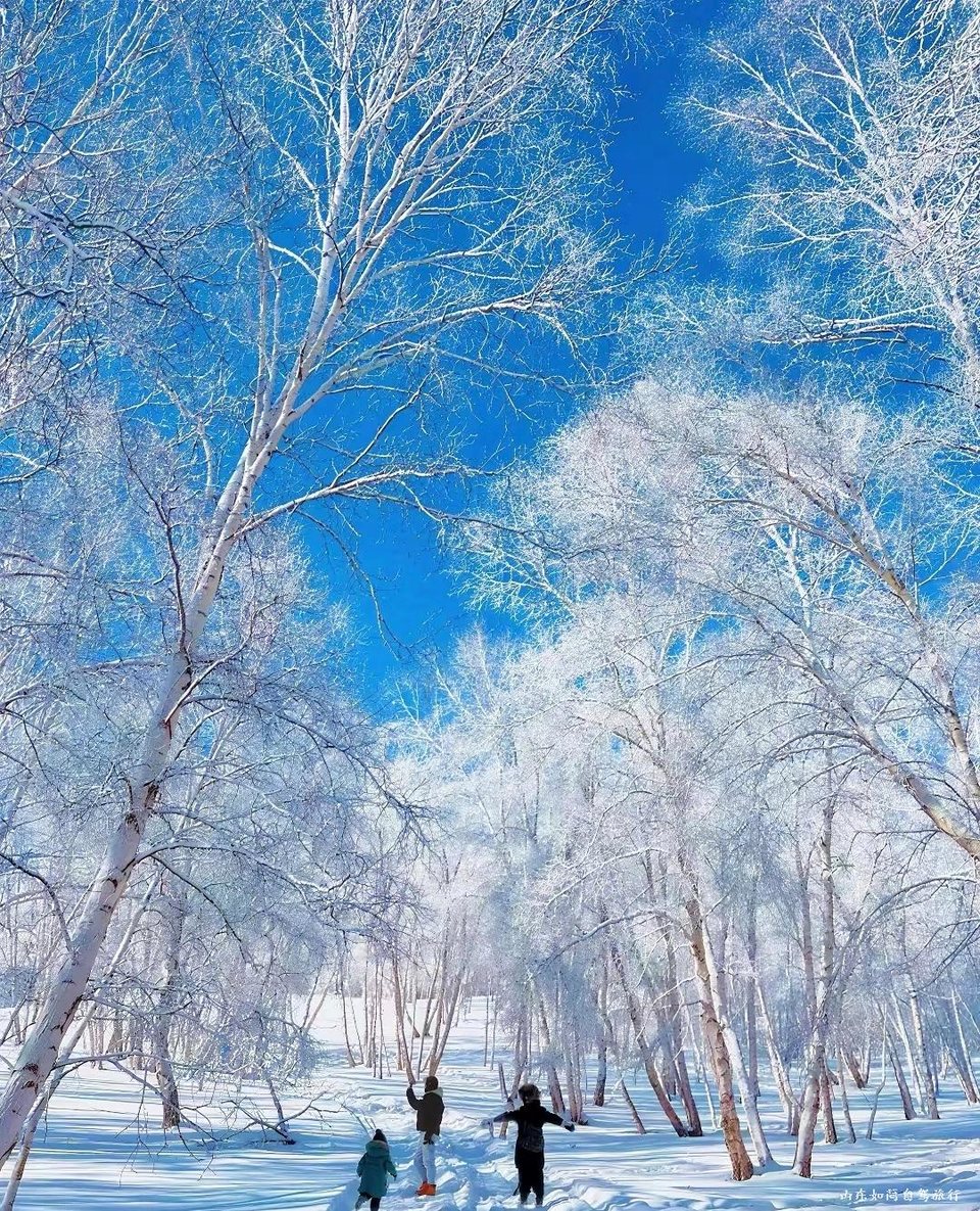 微信图片_20260121152656_51_5