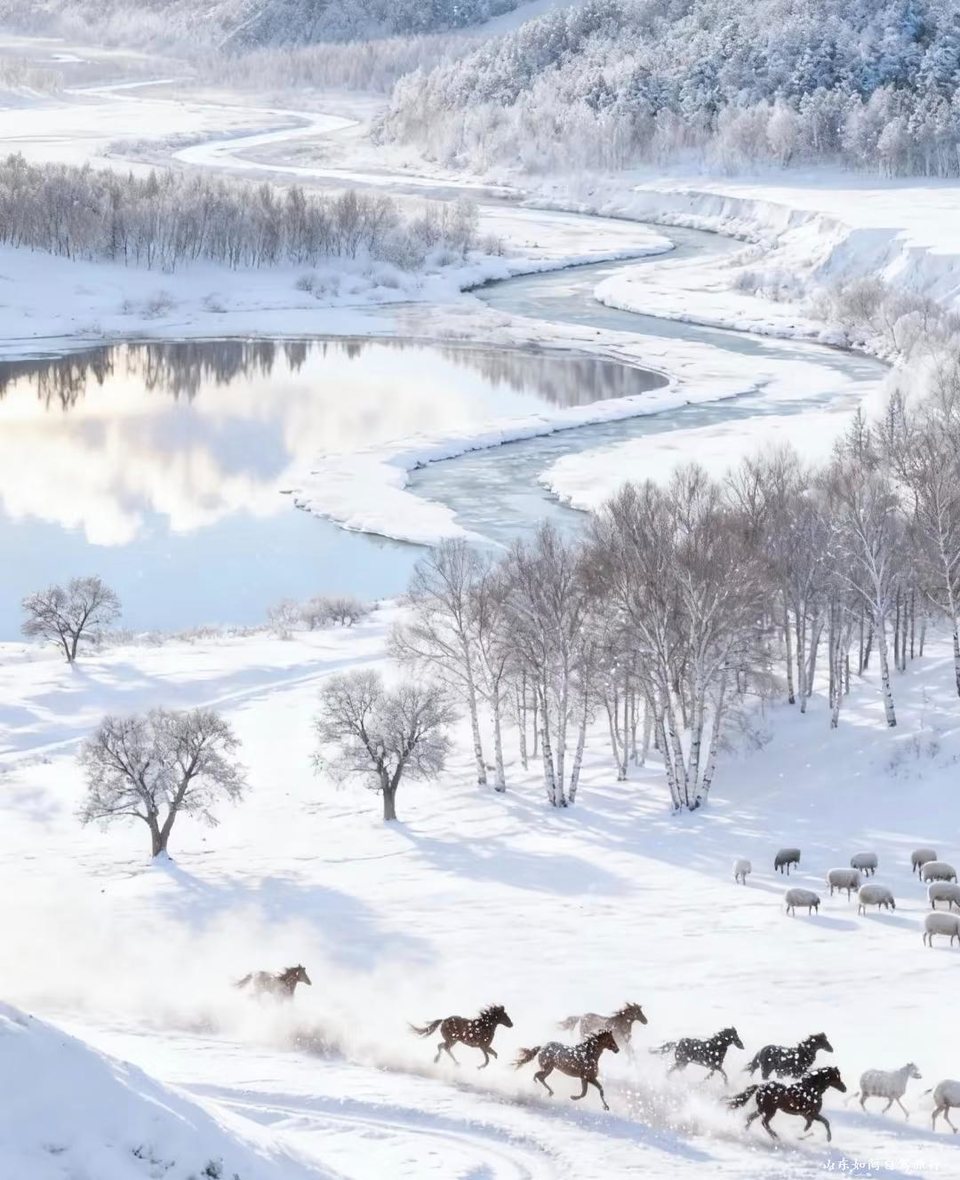 微信图片_20260121152657_52_5