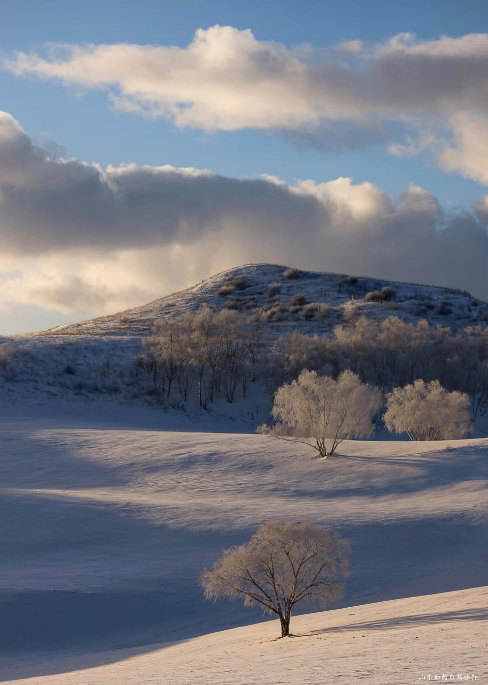 微信图片_20260121152700_55_5