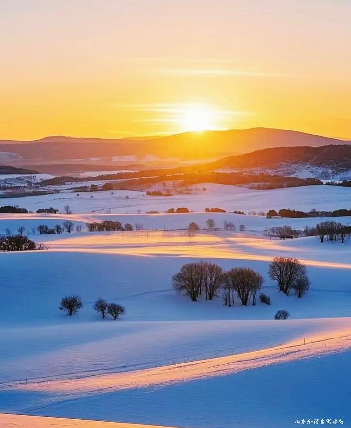 微信图片_20260121152701_56_5