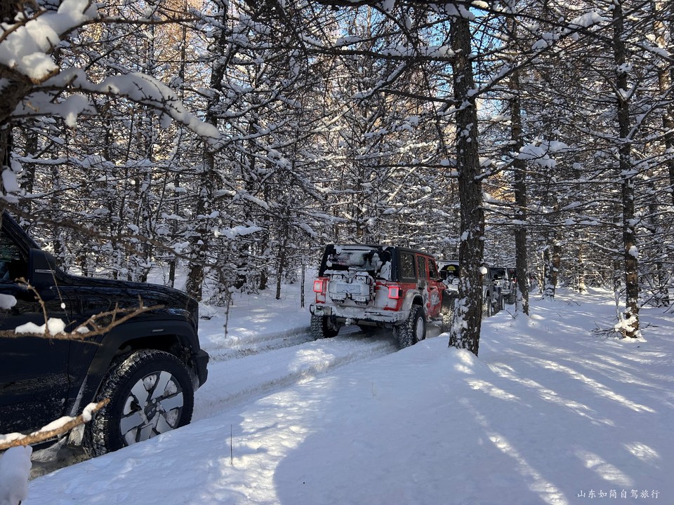 微信图片_20260121152923_8_35