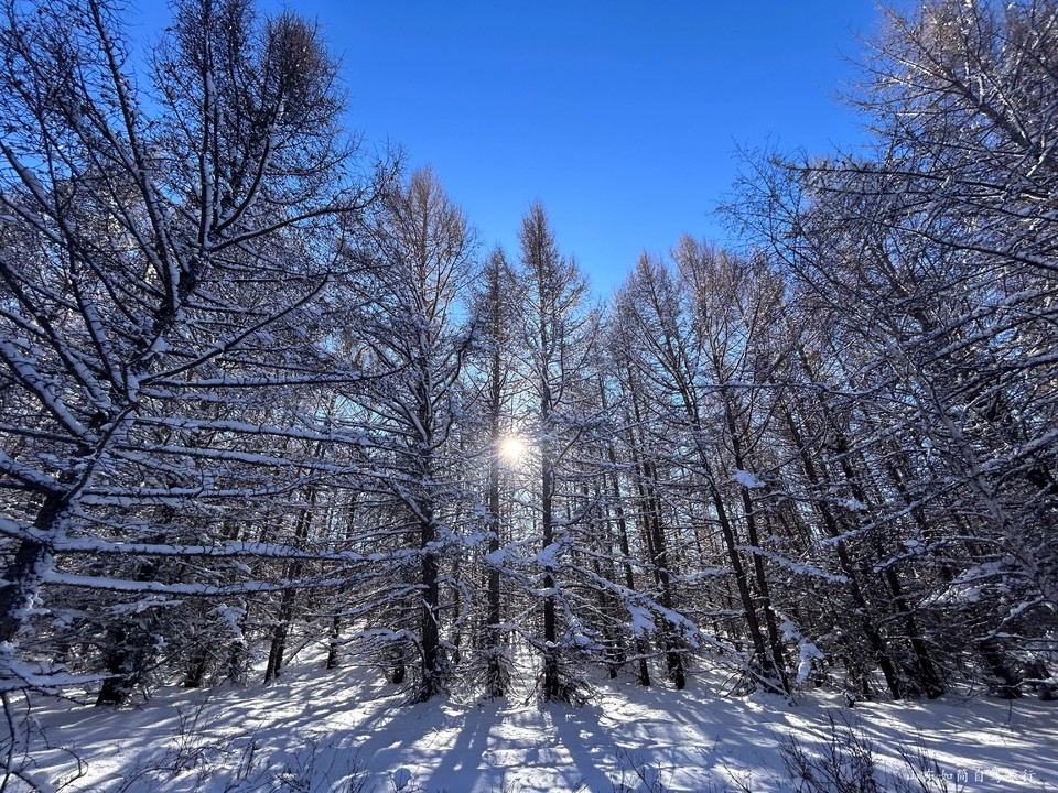 微信图片_20260121152924_9_35