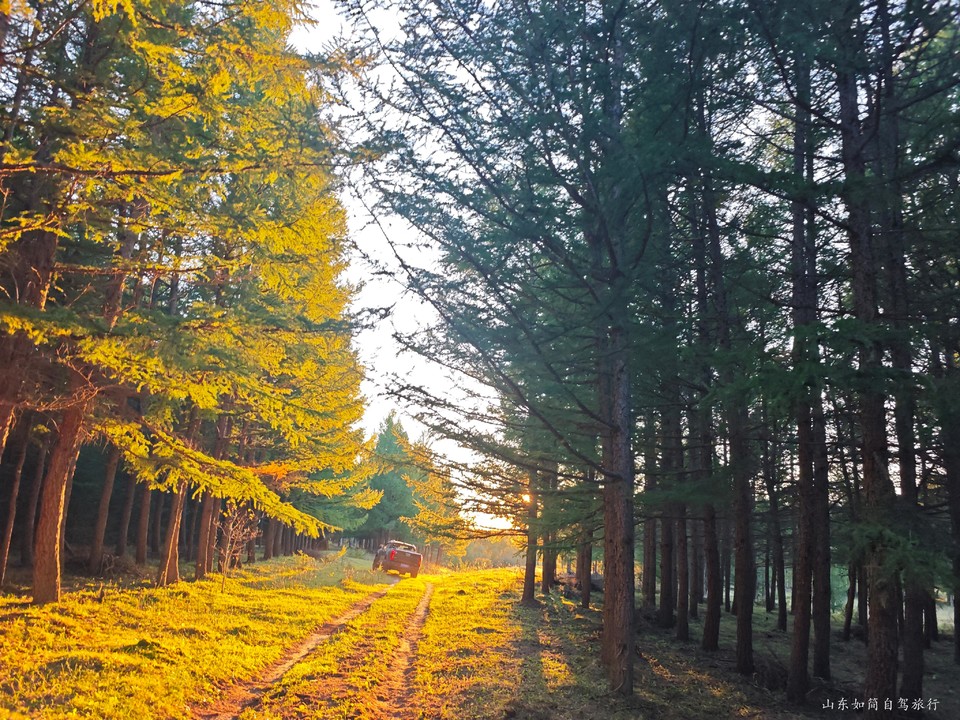 微信图片_20260121153607_61_5