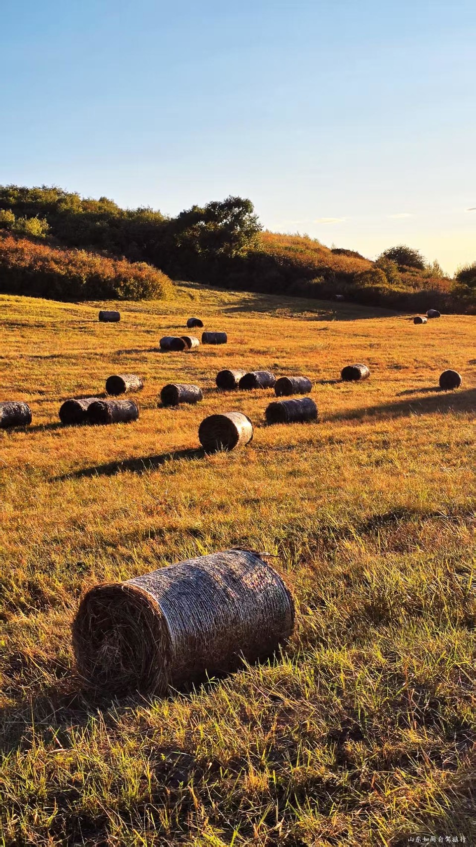 微信图片_20260121153627_74_5