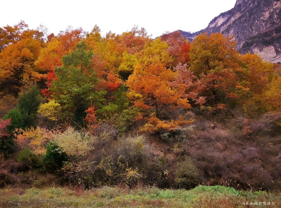 微信图片_20260121153639_80_5