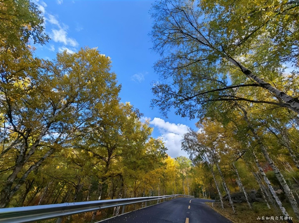 微信图片_20260121153640_81_5