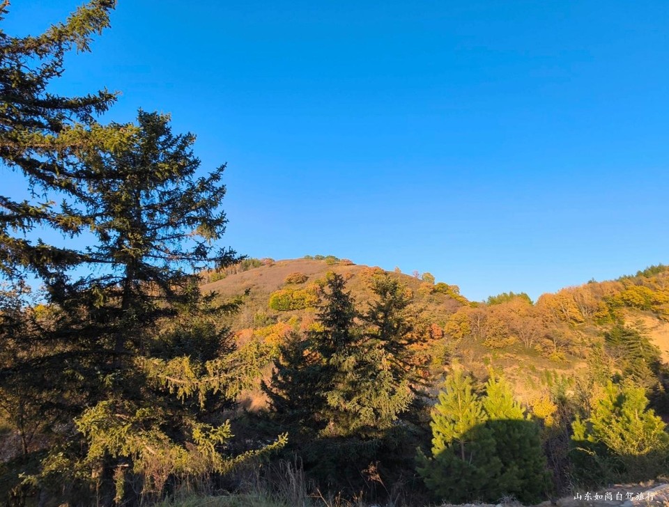 微信图片_20260121153646_85_5