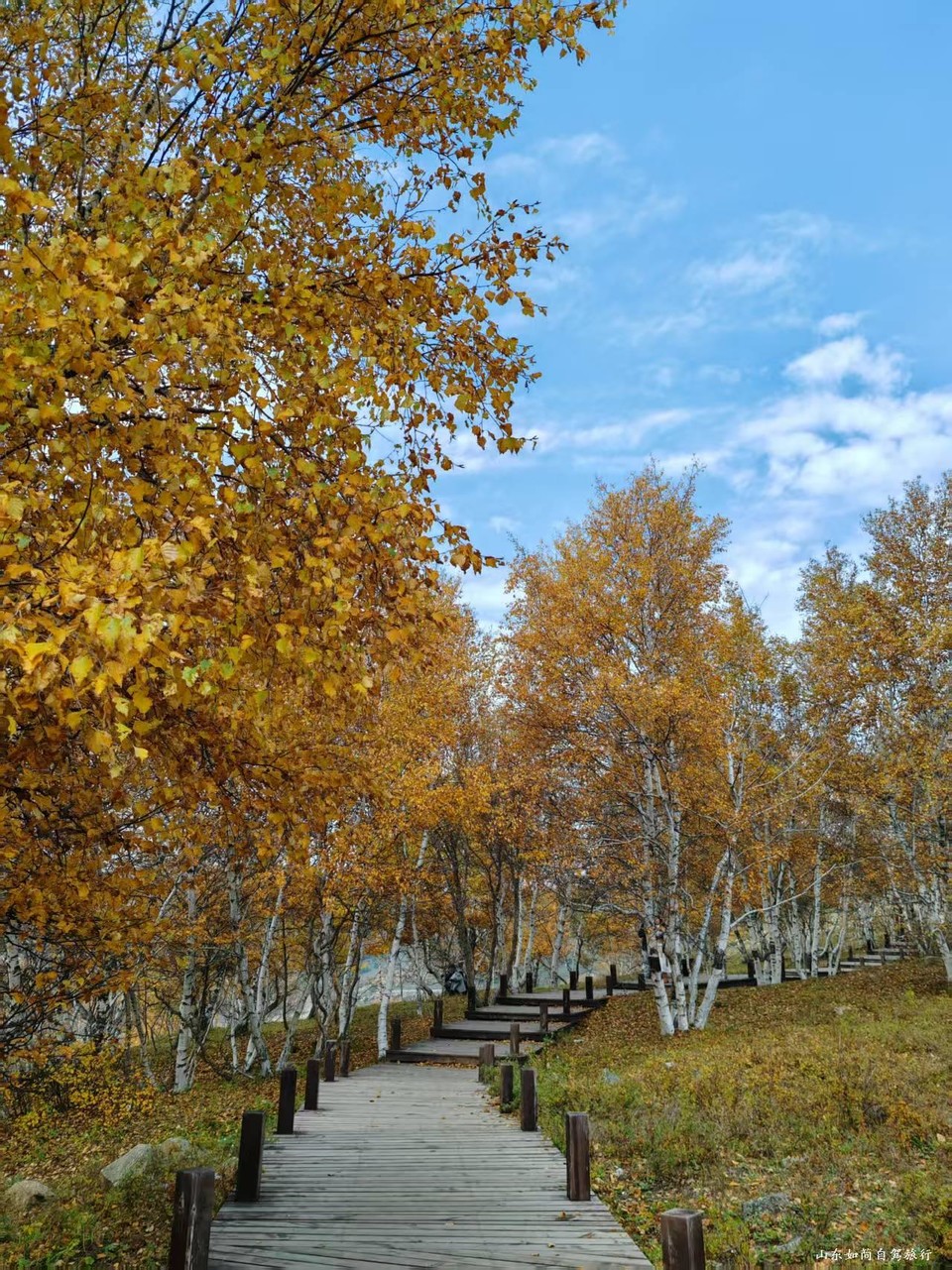 微信图片_2025-09-11_000722_585