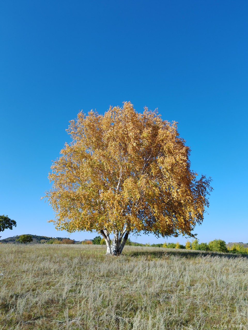 微信图片_20240925224144