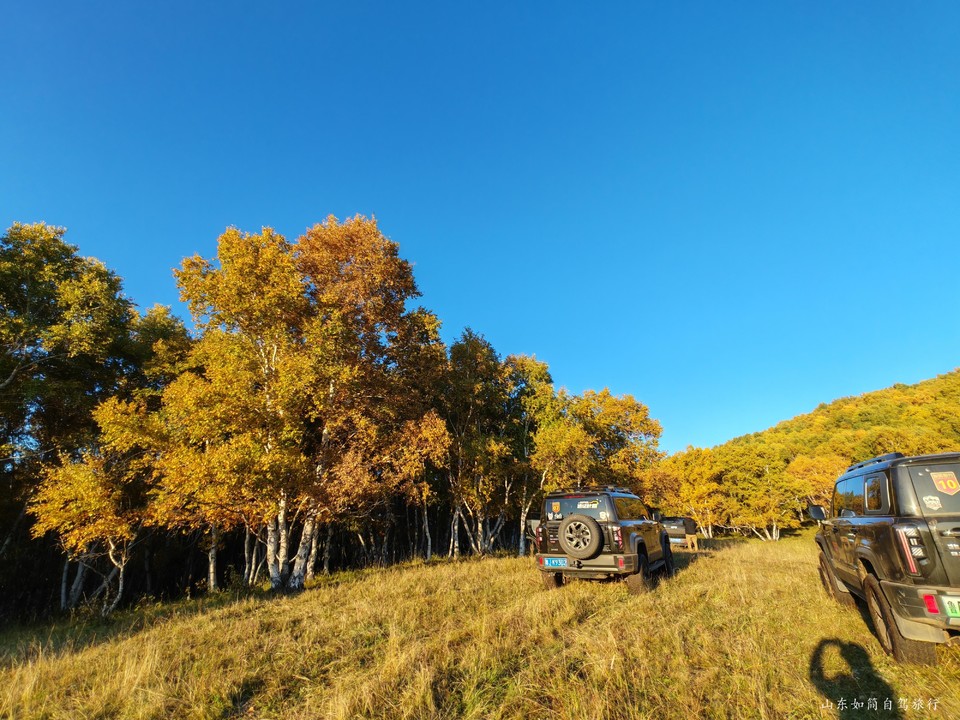 微信图片_2026-01-21_220358_983