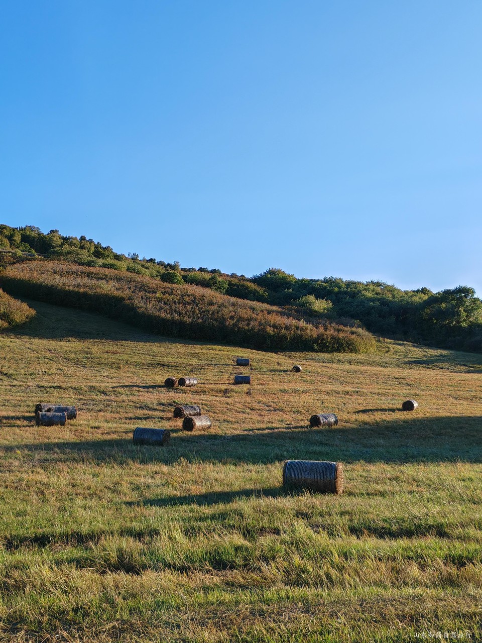 微信图片_2026-01-21_220403_974