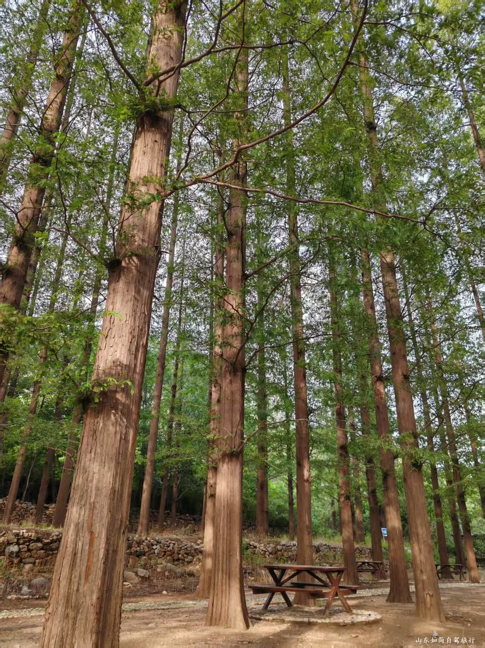 微信图片_20260122101551_109_5