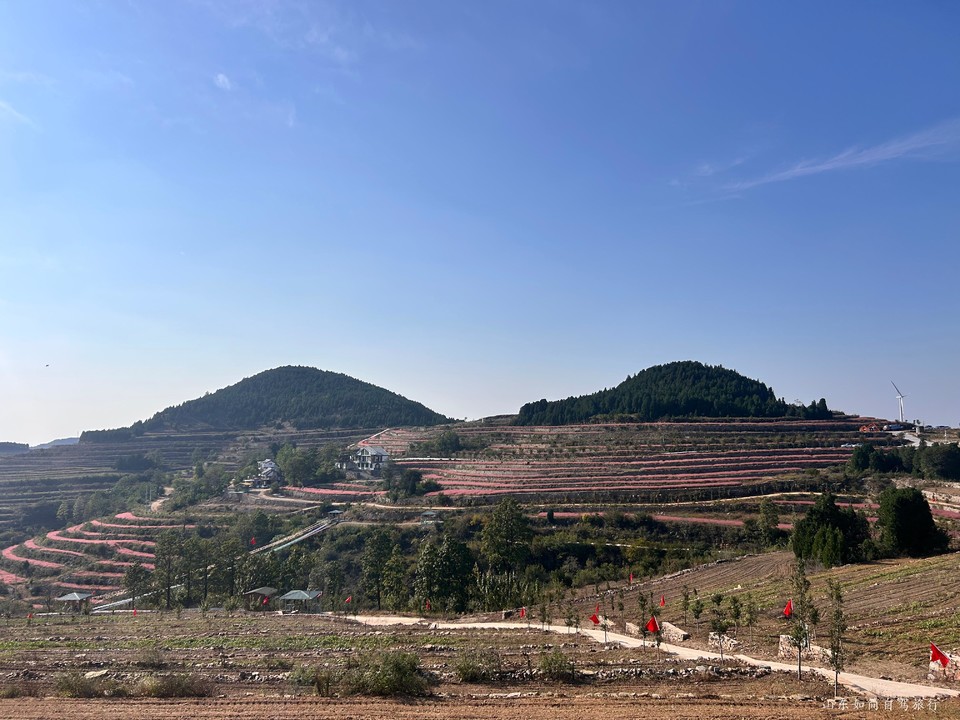 微信图片_20260122104433_15_35