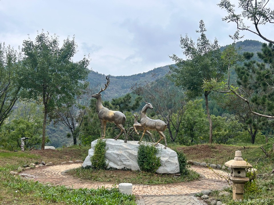 微信图片_20260122104449_22_35