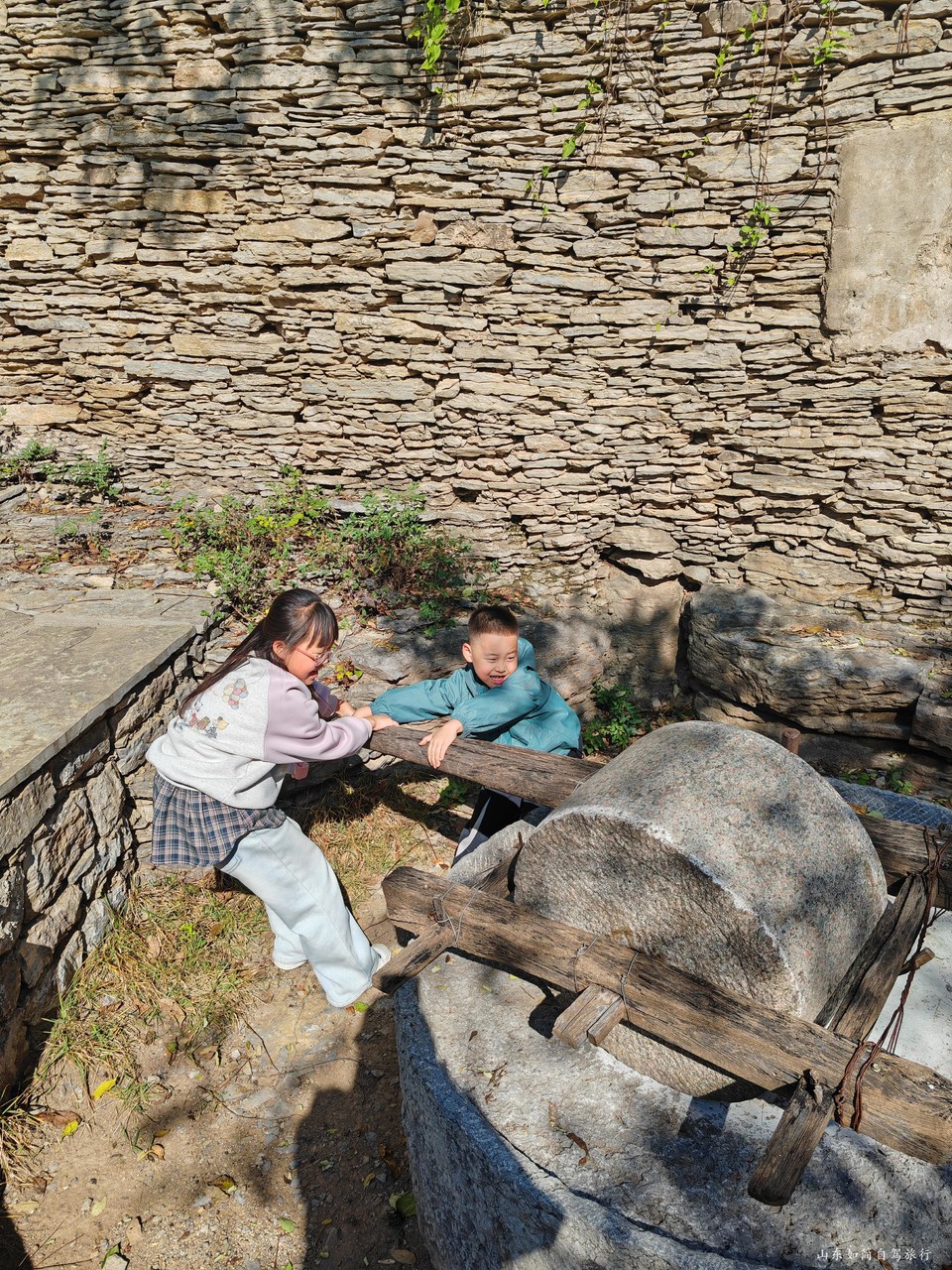 微信图片_2026-01-22_172854_080