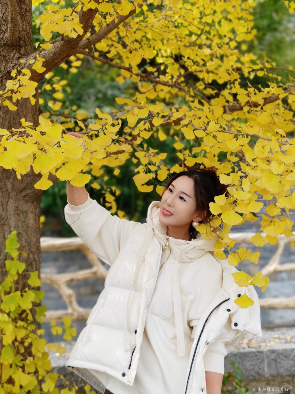 微信图片_2026-01-22_172914_592