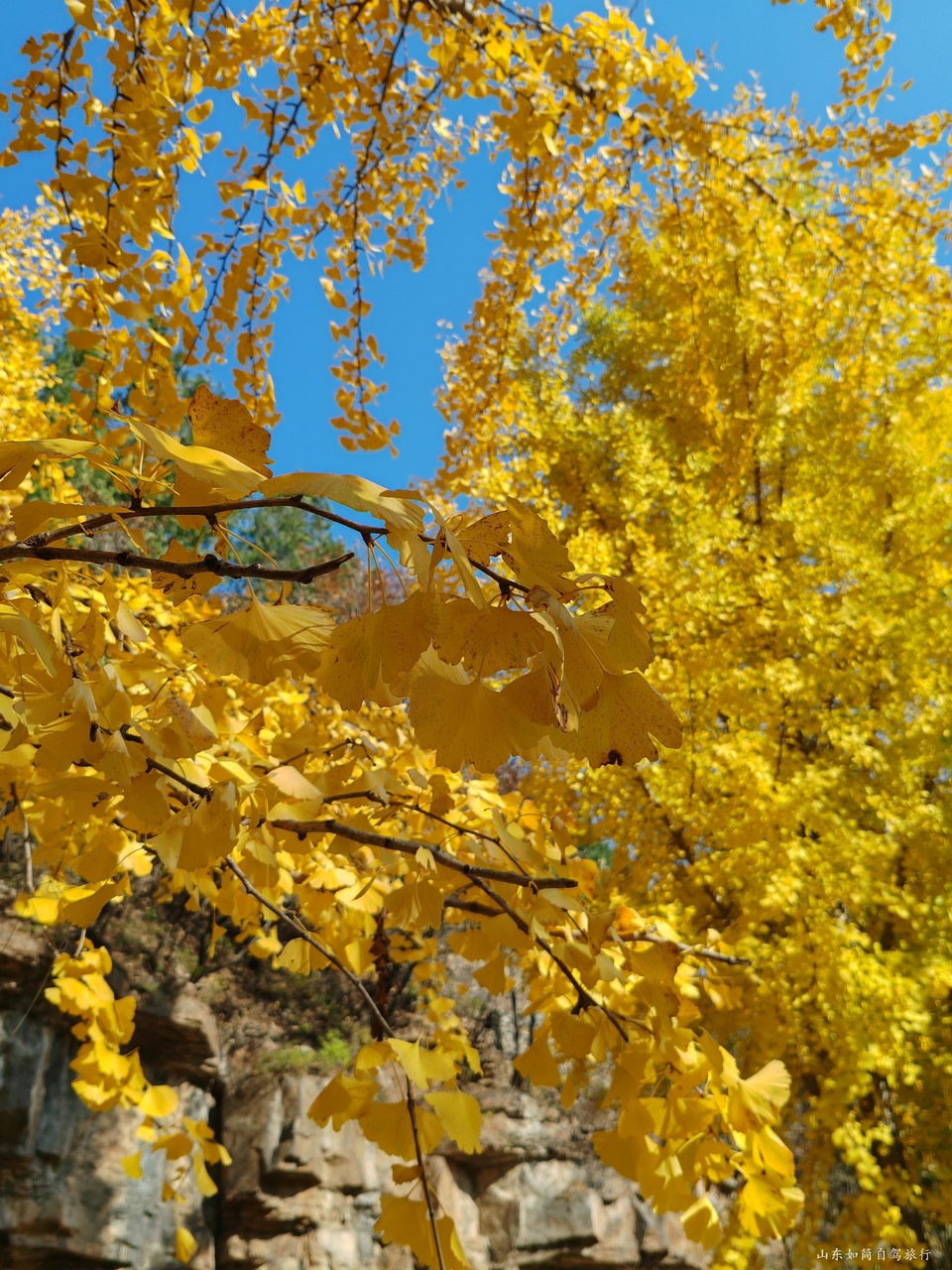 微信图片_2026-01-22_172942_295