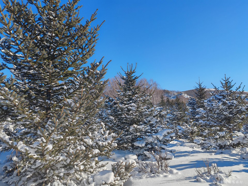 微信图片_2026-01-23_172919_597