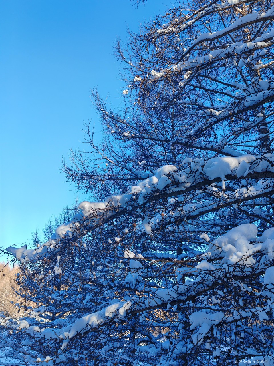 微信图片_2026-01-23_172930_597