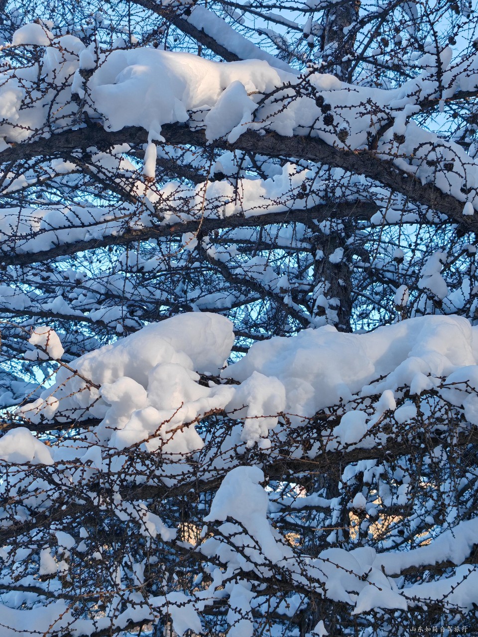 微信图片_2026-01-23_172939_382