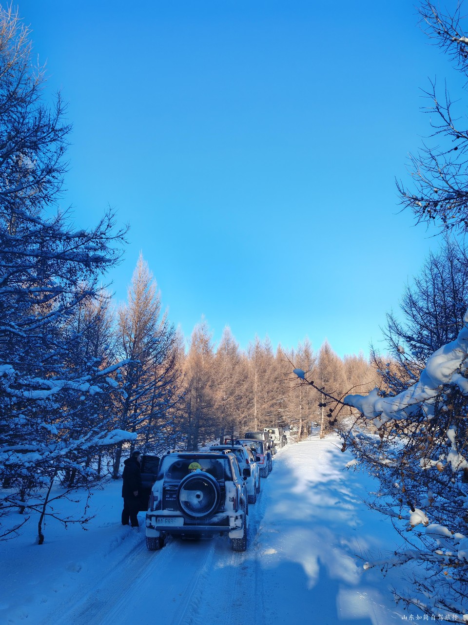 微信图片_2026-01-23_172944_124