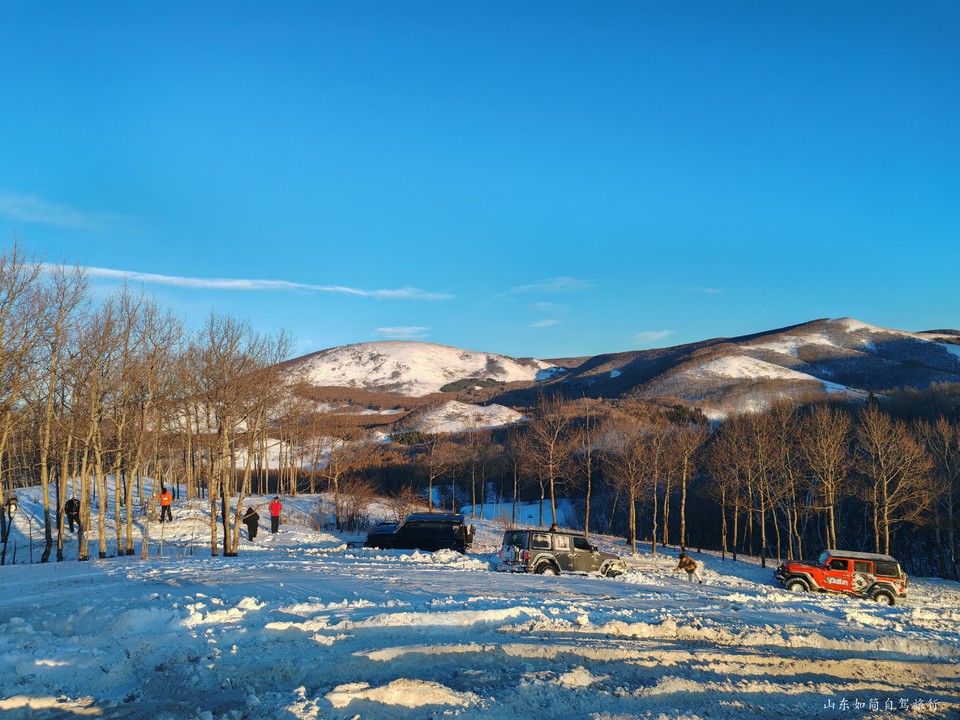 微信图片_2026-01-23_173004_733