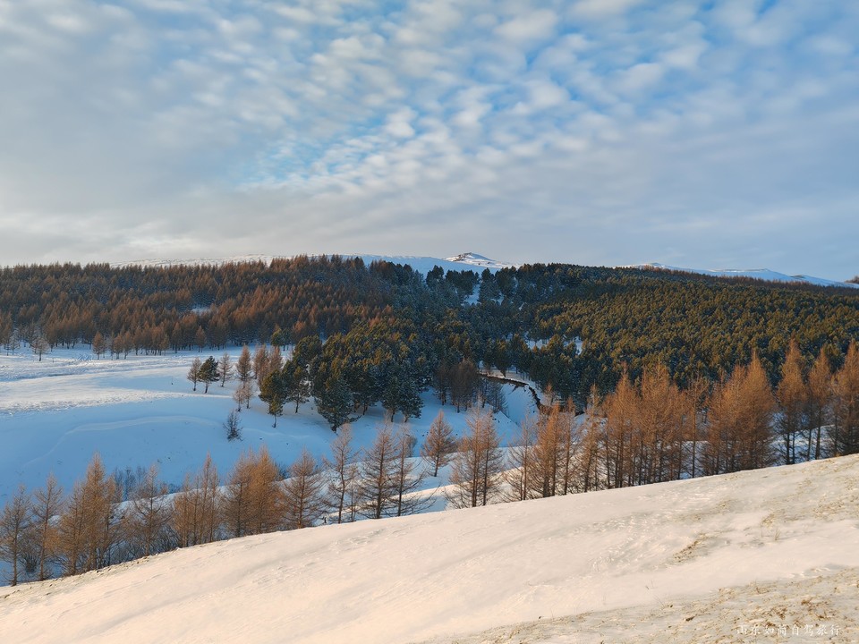 微信图片_2026-01-23_173047_981