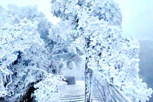 春节【云冰山+莽山2天】一次打卡两大冰雪圣地，岭南雪乡赏雾淞、观冰挂、云海秘境！