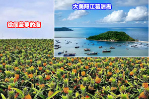 【春节大美粤西3天】大美阳江葛洲岛+海上小故宫+中国第一滩+茂名小垦丁+露天矿+雷州古城+菠萝的海与风车群~