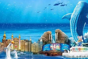 春节【珠海长隆2天】玩足珠海长隆海洋王国、打卡清朝古街、金台寺、圆明新园、漫步情侣路精华段（日月贝、珠海渔女、爱情邮站）