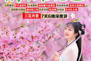 【滇东南花色】元阳梯田-罗平油菜花-红土地-九龙瀑布-弥勒东风韵-加级寨梨花-宜良樱花-建水-蚁工坊-抚仙湖7日游