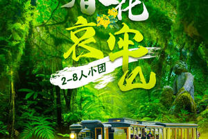 【春花哀牢山】云南虫谷-哀牢山-元阳梯田-阿者科-弥勒东风韵-罗平油菜花-九龙瀑布-花田小火车5日游