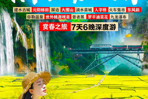 【滇东南之春】元阳梯田-罗平油菜花-九龙瀑布-坝美-普者黑-东风韵-弥勒-建水-屏边滴水苗城-人字桥-火车集市7日游