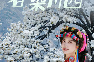 【大美梨花】春染川西 8人纯玩小团 · 四姑娘山双桥沟+牛背山+金川梨花+墨石公园+中路藏寨+红海子+木雅大寺6日