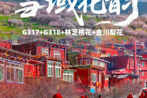 【大美川藏·11日】G317+G318·藏地花韵 林芝桃花+金川梨花+色达+玉隆拉措+德格印经院+然乌湖+来古冰川11日