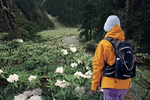 【2026】春多乐（碧罗雪山）7天高山秘境徒步环线