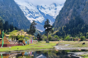 雨崩徒步5天4晚（标准版）